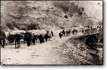 1915'te, Ermeni techiri başladığında, Orta Anadolu'dan gelen demiryolu hattı, Toros dağlarının ortasında, Pozantı'da son buluyordu.